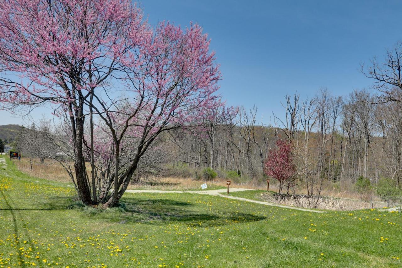 Pet-Friendly Pennsylvania Vacation Rental With Pool! Laughlintown المظهر الخارجي الصورة